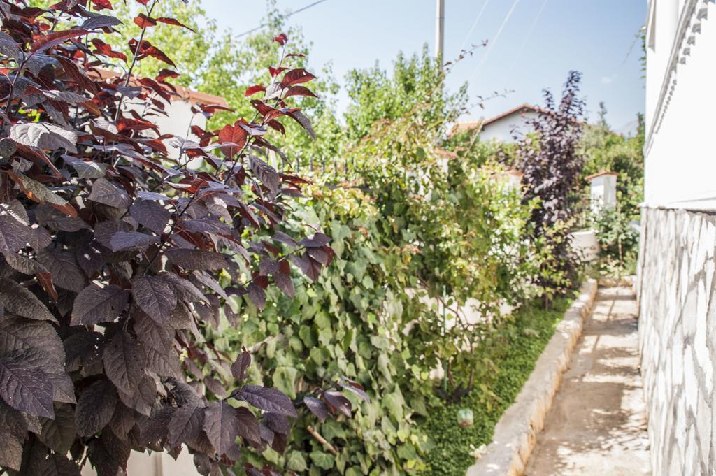 Axenia Hotel Utjeha Dış mekan fotoğraf